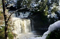 Cradle Mountain Day Tour from Launceston Including Lunch - Accommodation Main Beach