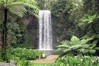 Private Daintree and Cape Tribulation Tour from Port Douglas - Restaurant Darwin