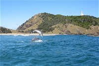 Kayaking with Dolphins in Byron Bay Guided Tour - Accommodation Main Beach