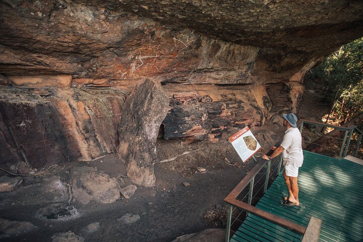 Kakadu National Park Wildlife and Ubirr Rock Art Tour from Darwin City