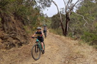 Mount Lofty Descent Bike Tour from Adelaide - Accommodation Broken Hill