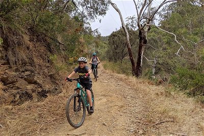 Mount Lofty Descent Bike Tour from Adelaide