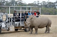 Off-Road Safari at Werribee Open Range Zoo - WA Accommodation