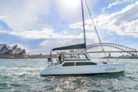 Vivid 90-Minute Sydney Harbour Catamaran Cruise with BYO Drinks - Bundaberg Accommodation