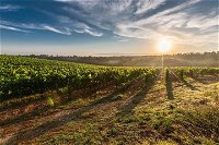 Perth to Margaret River Wine Tour - 2 Day Premium Boutique Wine Tour Experience - Lennox Head Accommodation