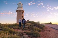 6-Day Coral Coaster from Perth to Exmouth One-Way via Monkey Mia Ningaloo Reef - Accommodation BNB