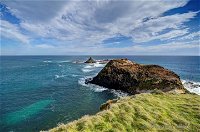 Small-Group Phillip Island Day Trip from Melbourne with Penguin Plus Viewing - WA Accommodation