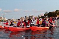 Brisbane River Guided Evening Tour by Kayak - Our Most Popular Tour - Accommodation Yamba