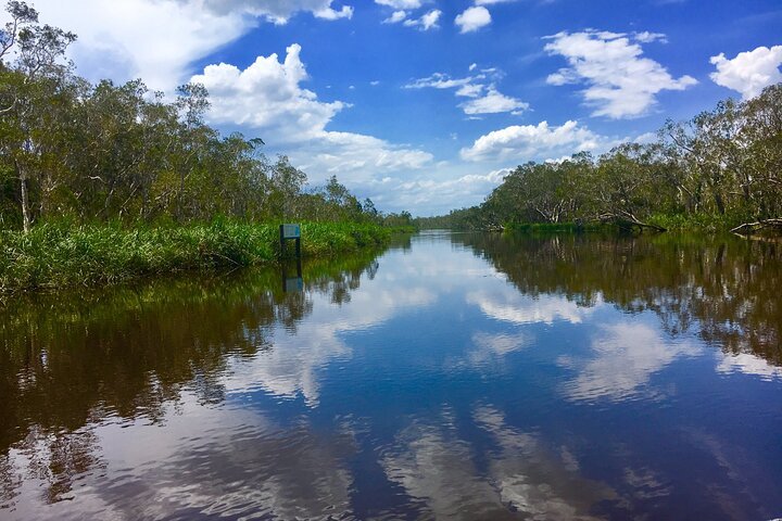 Noosa Everglades Serenity Cruise  Highlights Tour Inc. Lunch  Cruise