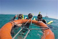 Full-Day Great Barrier Reef Sailing Trip - Accommodation Noosa