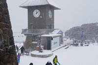 Mt Buller Day Trip from Melbourne - Accommodation Sunshine Coast