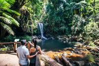 Aquaduck  Your choice of Gold Coast Rainforest Tour - Accommodation NT