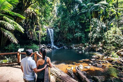 Aquaduck  Your choice of Gold Coast Rainforest Tour
