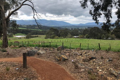 Yarra Valley Wine Tour inc lunch with a glass of wine tastings and chocolate