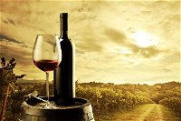 Barossa Valley Cellar Doors Luxury Wine Tour - QLD Tourism