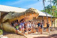 Malcolm Douglas Crocodile Park Tour Including Transportation - Tweed Heads Accommodation