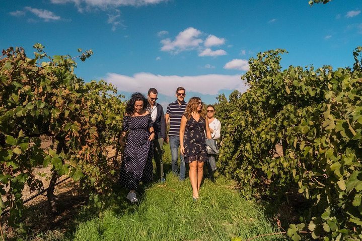 Barossa Valley Private Tour from 2 to 11 people