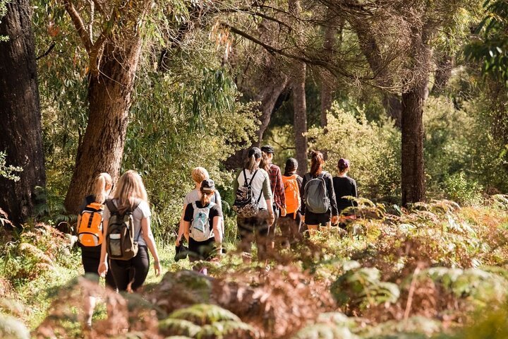 Half-Day Yanchep Ghost House Wilderness Guided Hike Tour