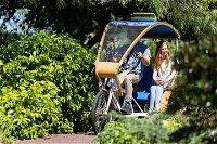 Adelaide 90-Minute Pedicab Tour Scenic Green  River Experience - Tweed Heads Accommodation