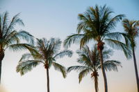 Darwin City Sightseeing Tour - Palm Beach Accommodation