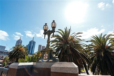 Highlights  Hidden Gems With Locals Best of Melbourne Private Tour