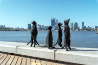 Perth by Bike Private Tour with a Local - Accommodation BNB