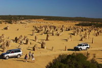 1-Day Pinnacles and Yanchep Tour from Perth including Fish and Chips Lunch - Sydney Tourism