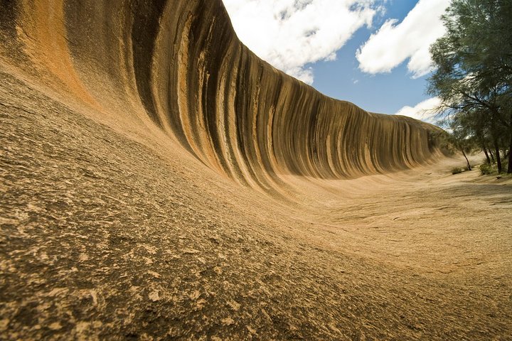 Wave Rock York Wildflowers and Aboriginal Cultural Day Tour from Perth