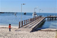 Monkey Mia Dolphins  Shark Bay Air Tour From Perth - Palm Beach Accommodation
