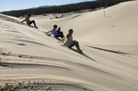 Port Stephens Bush Beach and Sand Dune 4WD Tag-Along Tour - QLD Tourism