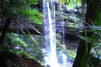 Mt Field National Park and Russell Falls from Hobart - Accommodation Yamba