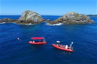 3-Hour Byron Bay Certified Scuba Diving Tour - Accommodation NT