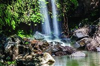 Full Day Small Group Luxury Tour to Tamborine Mountain - Gold Coast Attractions
