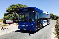 Rottnest Bayseeker Bus Tour from Hillarys Boat Harbour - QLD Tourism