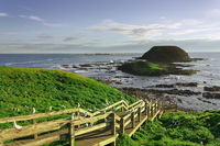 Full-Day Private Australian Wildlife Tour of Phillip Island - Phillip Island Accommodation