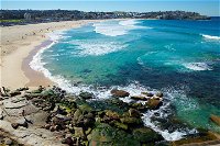 Private Sydney Foreshores and Beaches SUV Tour - Tweed Heads Accommodation