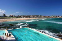 Private Sydney City and Bondi Beach Half Day Tour