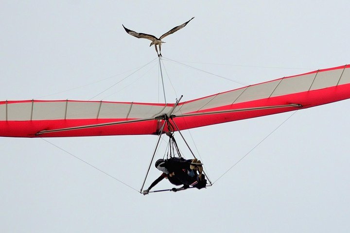 Hang gliding with HangglideOz