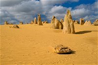 The Pinnacles Sea and Dunescapes Bush Reserve and Sunset Day Tour - Bundaberg Accommodation