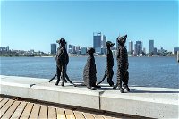 Perth by Bike Private Tour with a Local - Accommodation Gold Coast