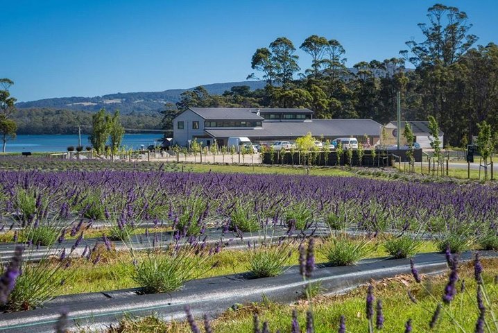 Private Hobart Discover South East Food and Scenic Tour