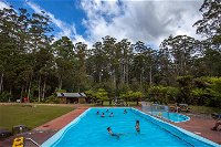 Tahune Airwalk Active Day Trip from Hobart Including Hastings Caves - Accommodation Noosa