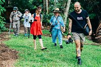Let's Go Buggin  Let's Go Shroomin - Photography  Nature Walking Tours - Tourism Cairns