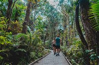 Full Day Cooktown Private Tour - Accommodation Mount Tamborine