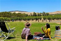Private Picnic and Wine Tasting Experience in Barossa Valley - Taree Accommodation