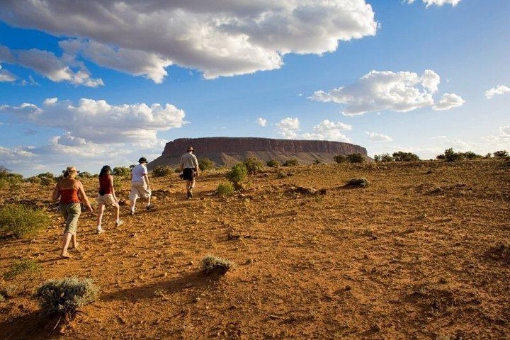 Mount Conner 4WD Small Group Tour from Ayers Rock including Dinner