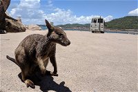 Magnetic Island Tour Maggie Comprehensive - Accommodation NT