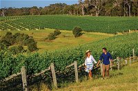10 Day Perth to Adelaide Private Tour - The Great Australian Wilderness Journey - Accommodation ACT