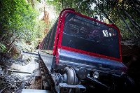 Blue Mountains Hop-on Hop-off Tour with Optional Scenic World Rides - eAccommodation