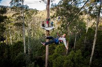 Hollybank Wilderness Adventure - Zipline Tours - Accommodation BNB